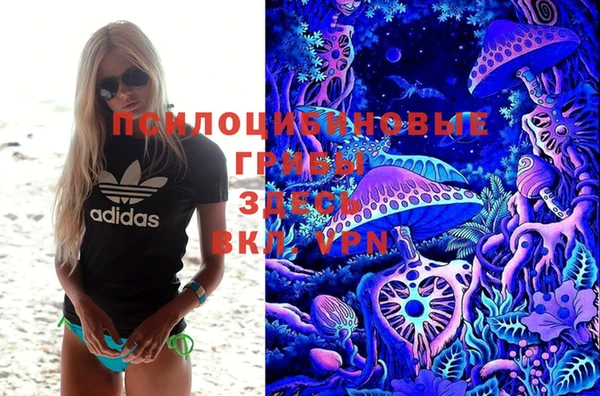 a pvp Абаза