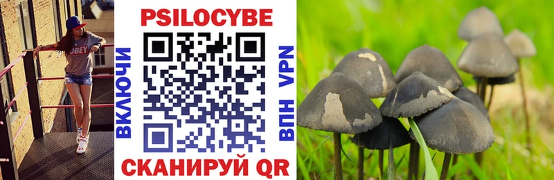 мориарти официальный сайт  Карасук  Псилоцибиновые грибы мицелий  купить  